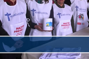 Petos estampados petos colecta